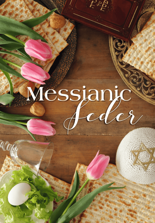 Kid - Friendly Messianic Seder Party Box - Chavamade